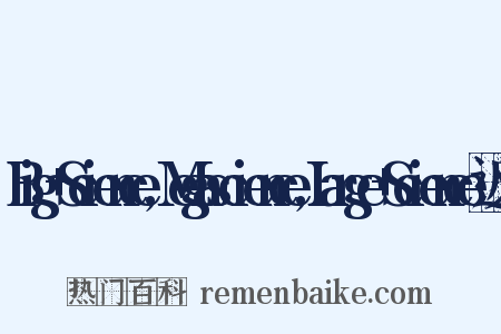 Big+Science,Megascience,Large+Science近义词是什么意思的图片